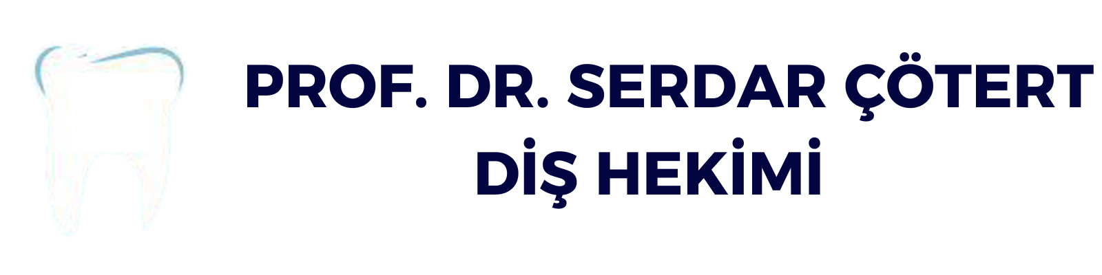 PROF. DR. HAMİT SERDAR ÇÖTERT